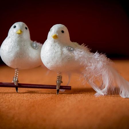 Вілла Two White Pigeons Іпр Номер фото