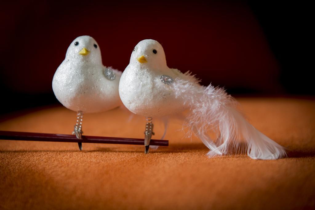 Вілла Two White Pigeons Іпр Номер фото